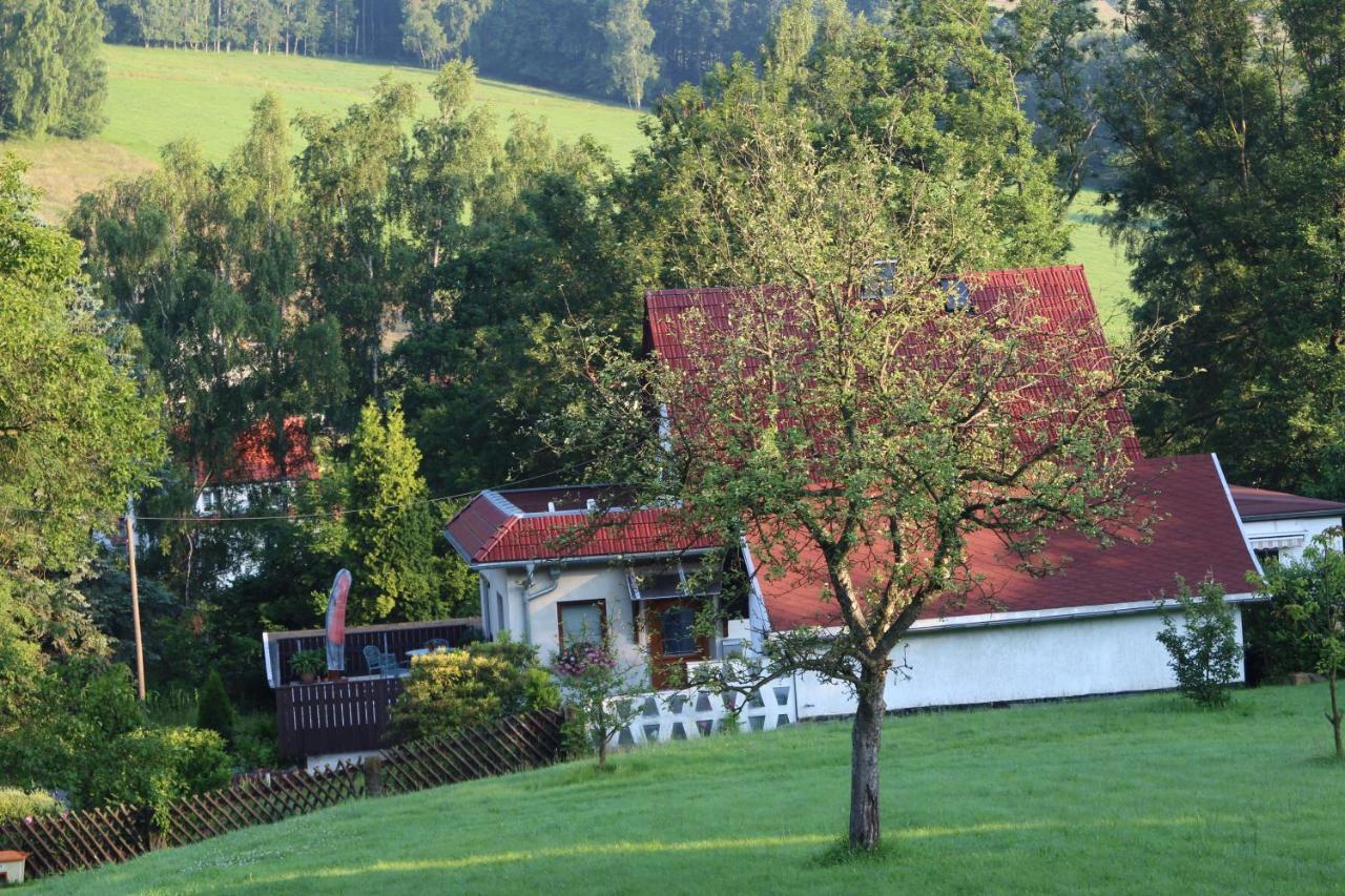 Ferienhaus Dani Bad Gottleuba Exterior foto